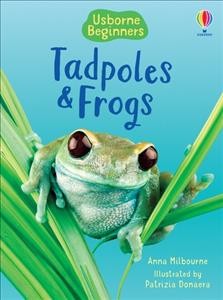 Tadpoles and frogs / Anna Milbourne ; illustrated by Patrizia Donaera and Zöe Wray ; frog consultant: Chris Mattison ; reading consultant: Alison Kelly.