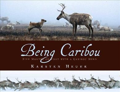 Being caribou : five months on foot with a caribou herd / Karsten Heuer.