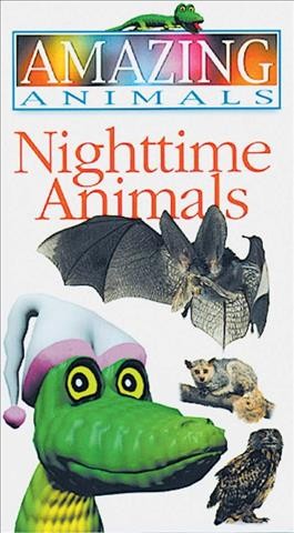 Nighttime animals [videorecording] / [written by Roger Stennett].