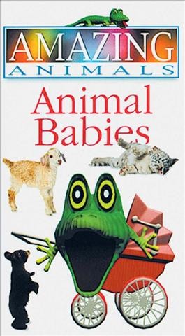 Animal babies [videorecording] / [written by Roger Stennett].