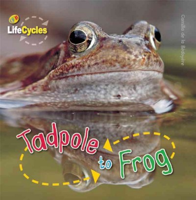 Tadpole to frog / Camilla de la Bedoyere.