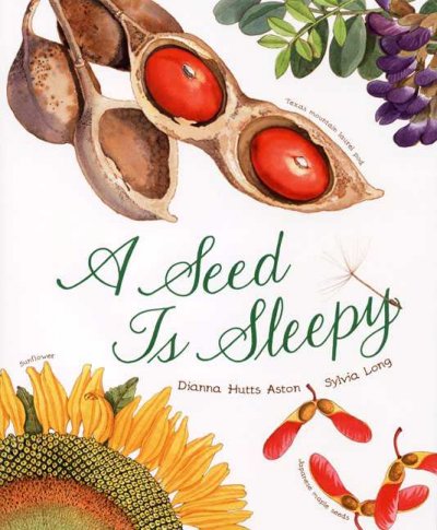 Seed is sleepy /, A.