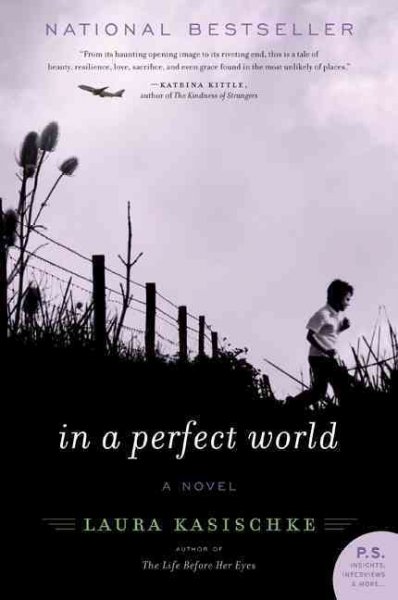 In a perfect world : a novel / Laura Kasischke.