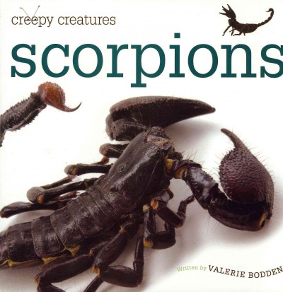 Scorpions / Valerie Bodden.