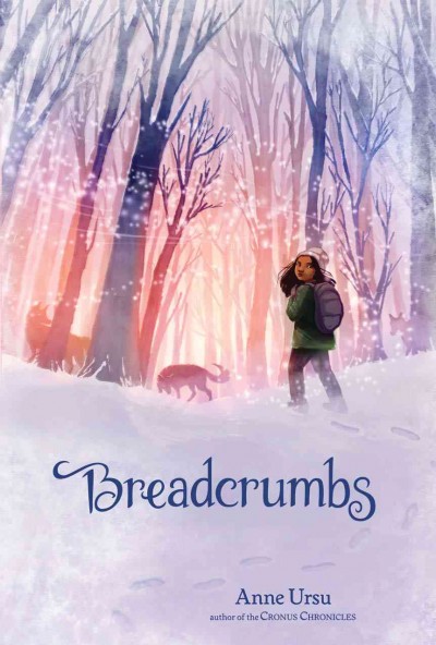 Breadcrumbs / Anne Ursu ; drawings by Erin McGuire.