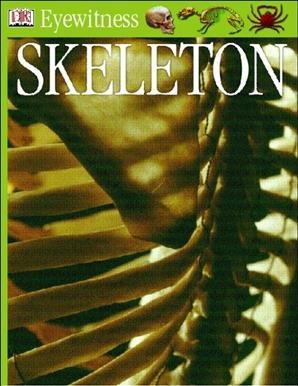 Skeleton [electronic resource] / written by Steve Parker.