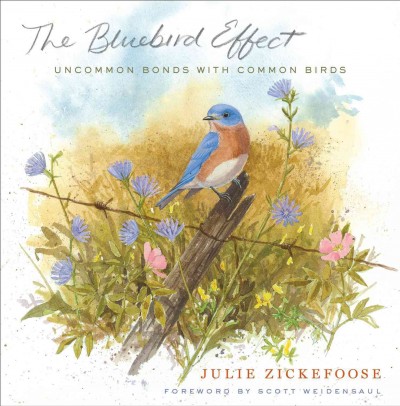 The bluebird effect : uncommon bonds with common birds / Julie Zickefoose.