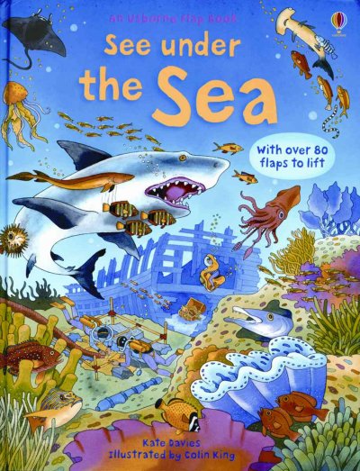 See under the sea / Kate Davies ; illustrated by Colin King.