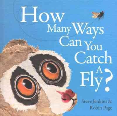How many ways can you catch a fly? / Steve Jenkins & Robin Page.