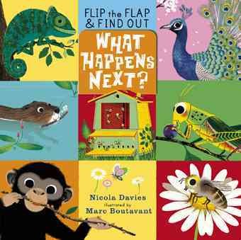 What happens next? / Nicola Davies ; illustrated by Marc Boutavant.