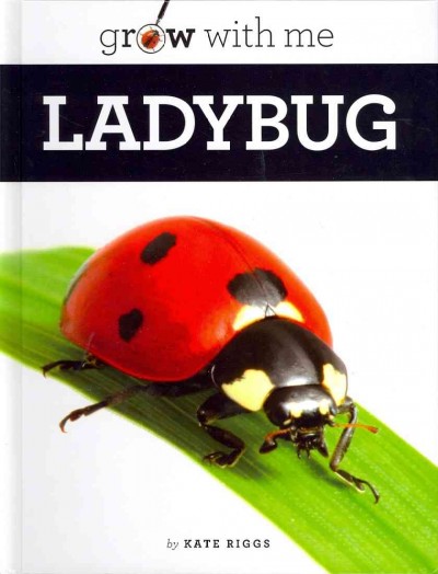 Ladybug / by Kate Riggs.