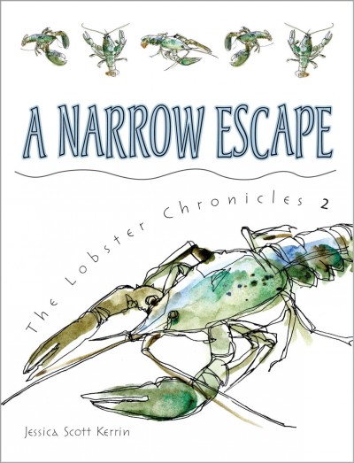 A narrow escape / Jessica Scott Kerrin ; illustrations by Shelagh Armstrong.
