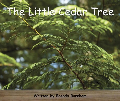 The little cedar tree / by Brenda Boreham.
