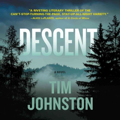 Descent / Tim Johnston.