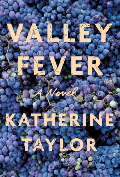 Valley fever : a novel / Katherine Taylor.