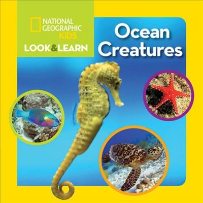 Ocean creatures.