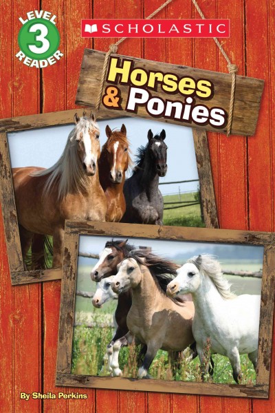 Horses & ponies / by Sheila Perkins.