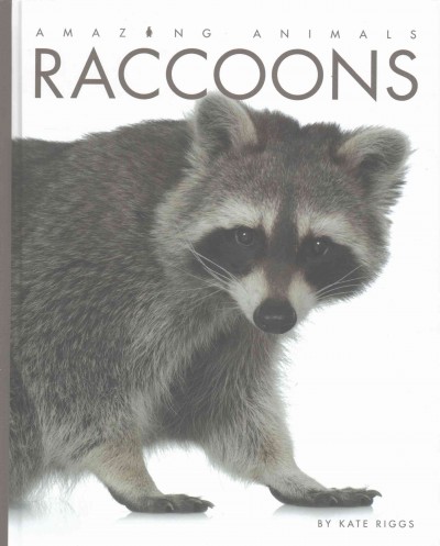 Raccoons / Kate Riggs.