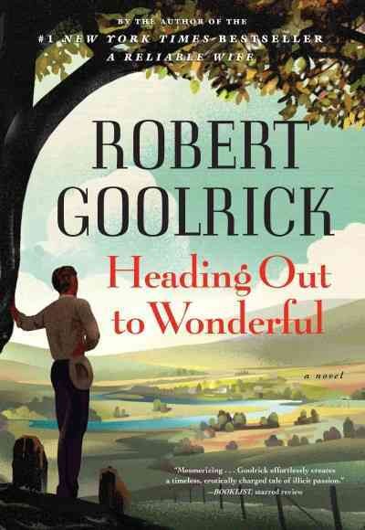 Heading out to wonderful / by Robert Goolrick. large print{LP}