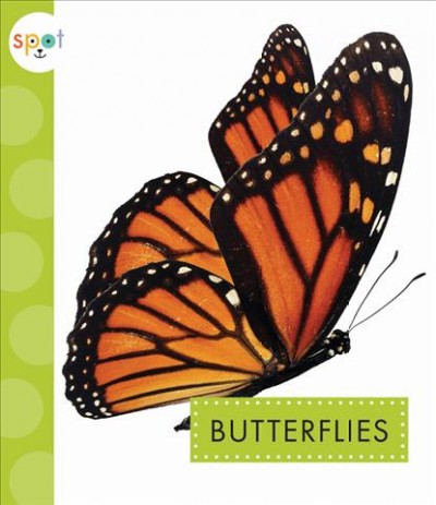 Butterflies / by Rachel Bach.