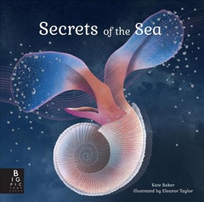 Secrets of the sea / written by Kate Baker ; illustrated by Eleanor Taylor.