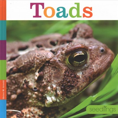 Toads / Quinn M. Arnold.