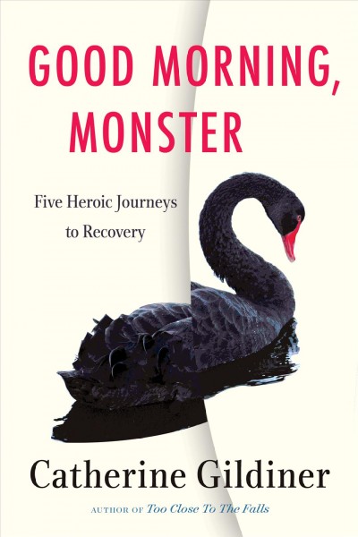 Good morning monster : five heroic journeys to recovery / Catherine Gildiner.
