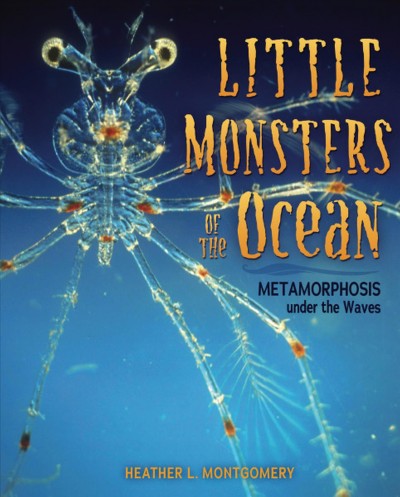 Little monsters of the ocean : metamorphosis under the waves / Heather L. Montgomery.