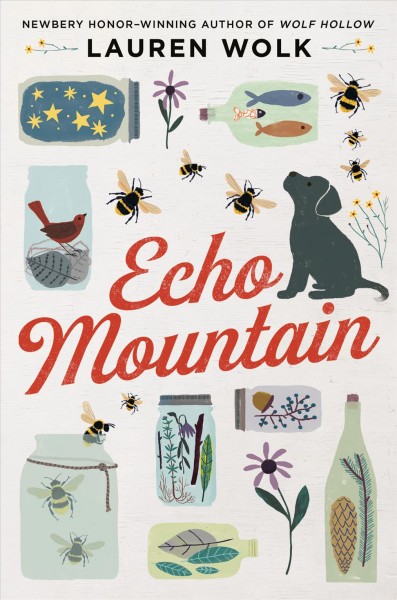 Echo Mountain / by Lauren Wolk.