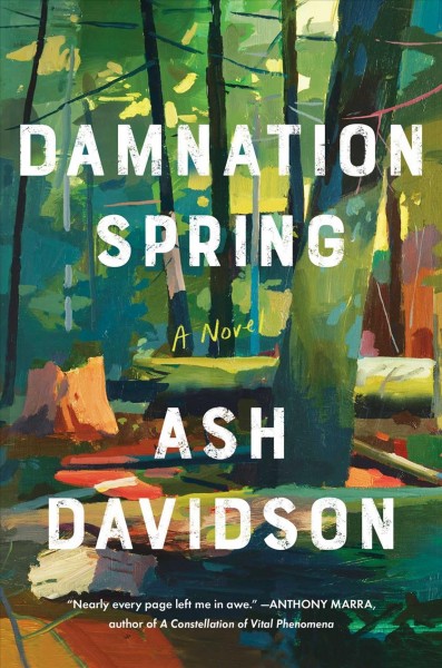 Damnation spring : a novel / Ash Davidson.