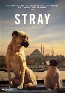 Stray [DVD] / Magnolia Pictures, Molj, Periferi Film, Intuitive Pictures present ; produced by Elizabeth Lo & Shane Boris ; directed by Elizabeth Lo.