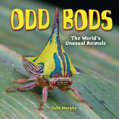 Odd bods : the world's unusual animals / by Julie Murphy.
