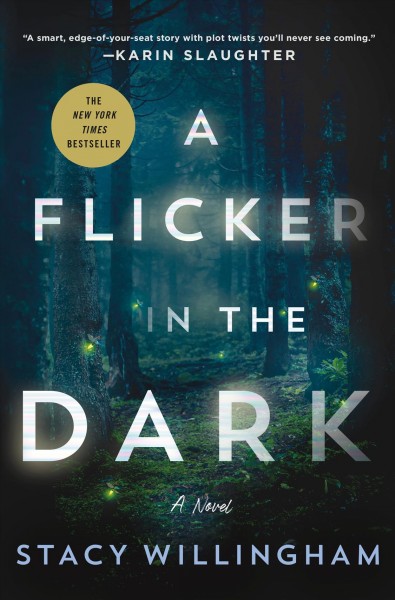 A flicker in the dark : a novel / Stacy Willingham.