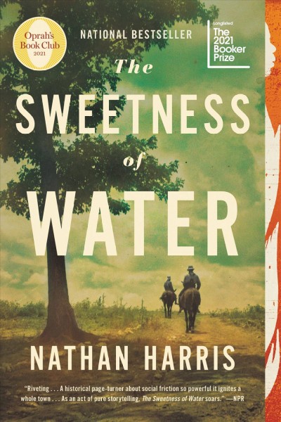 The sweetness of water : a novel / Nathan Harris.