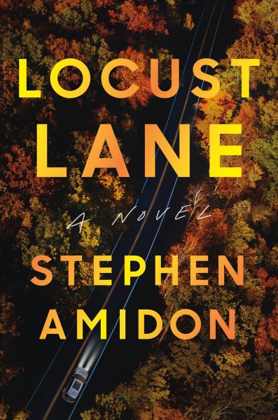 Locust lane : a novel / Stephen Amidon.