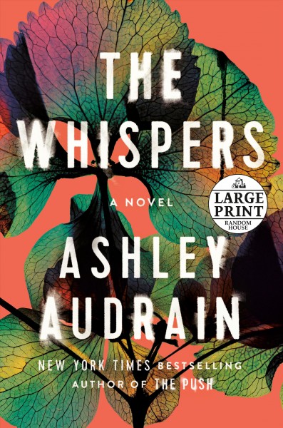 The whispers / Ashley Audrain.