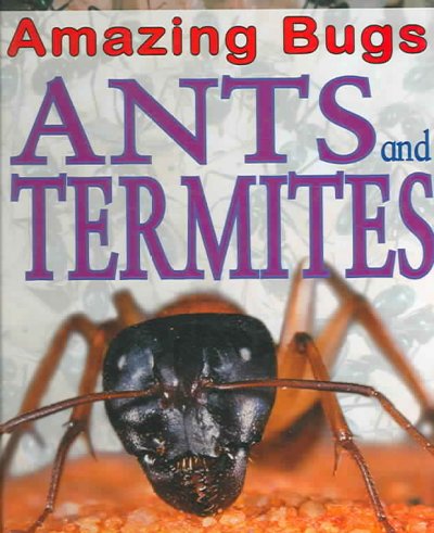 Ants and termites / Anna Claybourne.