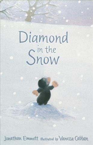 Diamond in the snow / Jonathan Emmett ; illustrated by Vanessa Cabban.