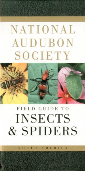 National Audubon Society field guide to North American insects and spiders / Lorus and Margery Milne ; visual key by Susan Rayfield.