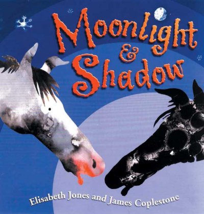 Moonlight & Shadow / written by Elisabeth Jones ; illustrated by James Coplestone.