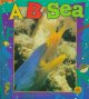 A-- B-- sea  Cover Image