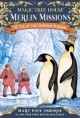 Eve of the emperor penguin. Cover Image