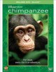 Go to record Chimpanzee