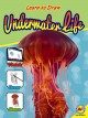 Underwater life  Cover Image