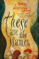 These are the names : a novel  Cover Image