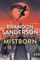 Mistborn : the final empire  Cover Image