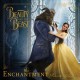 The enchantment  Cover Image