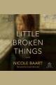 Little broken things Cover Image