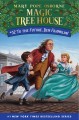 Magic Tree House.  #32  To the future, Ben Franklin!  Cover Image