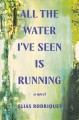 All the water I've seen is running : a novel  Cover Image